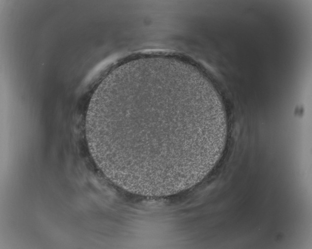 X0000113011351200910081213