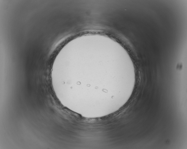 X0000113011352200910081213