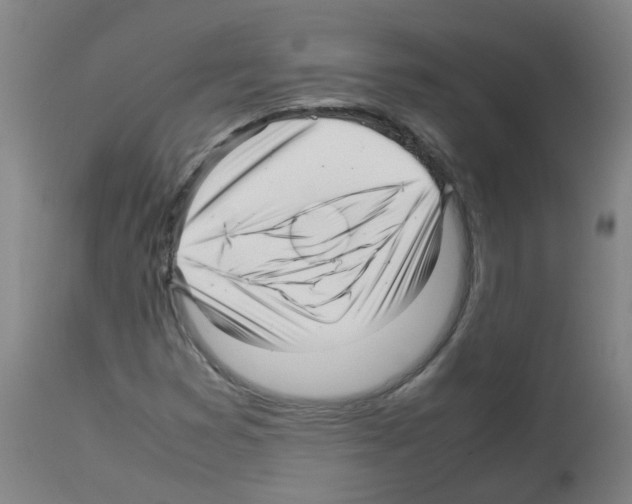 X0000113011353200910081213