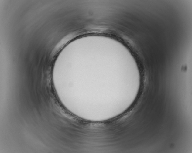 X0000113011354200910081213