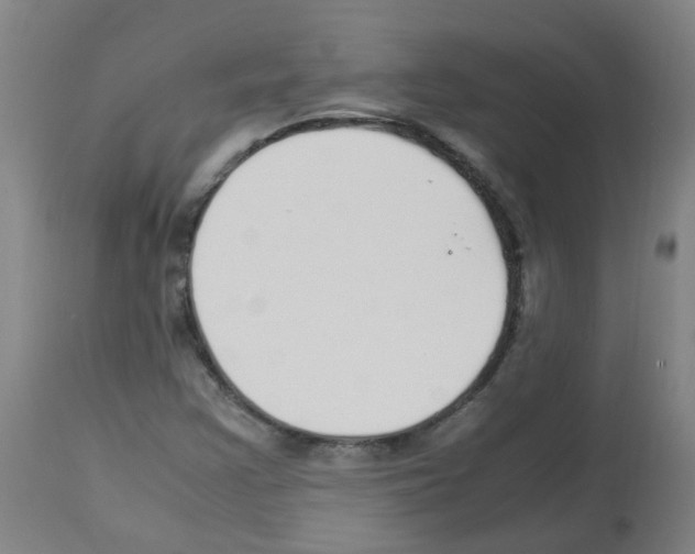 X0000113011355200910081213