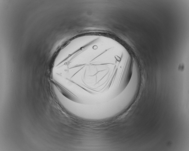 X0000113011357200910081213