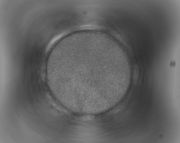 X0000113011358200910081213