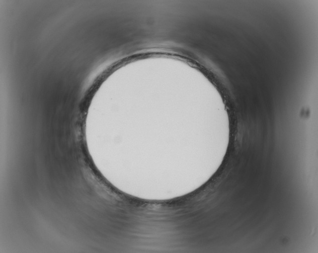 X0000113011360200910081213