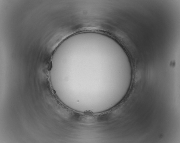 X0000113011361200910081213