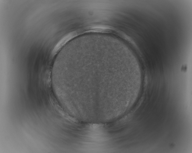 X0000113011362200910081213
