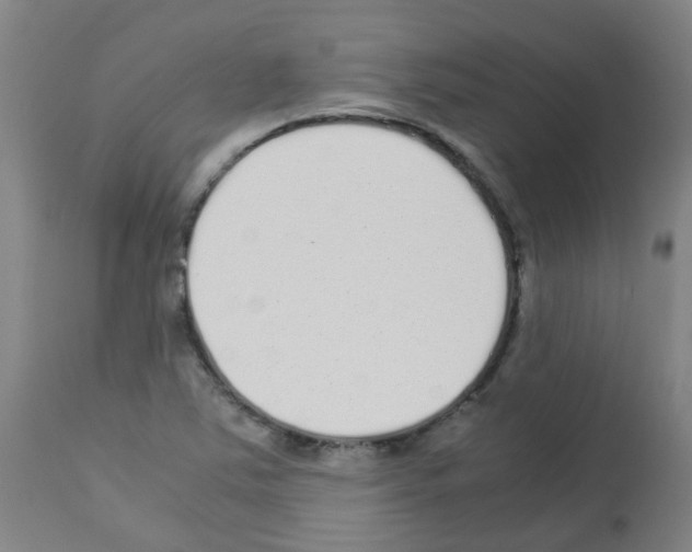 X0000113011363200910081213