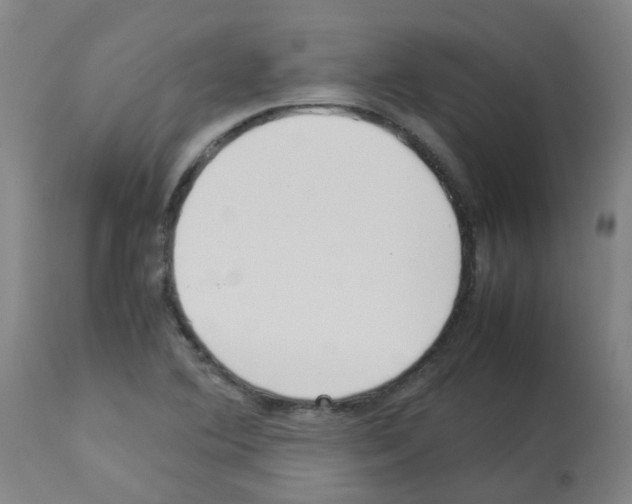 X0000113011364200910081213