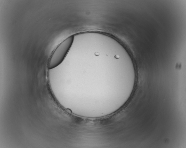 X0000113011365200910081213