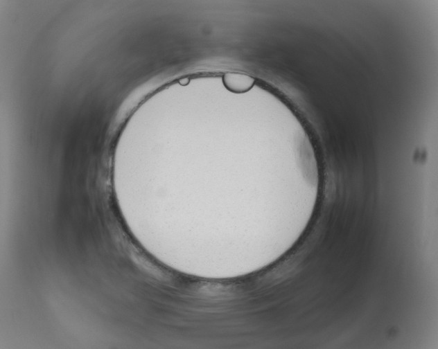 X0000113011366200910081213