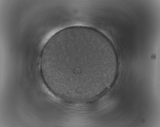 X0000113011367200910081213