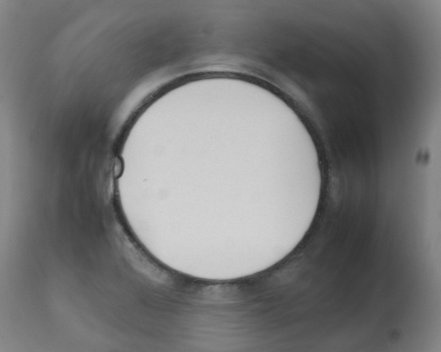 X0000113011368200910081213