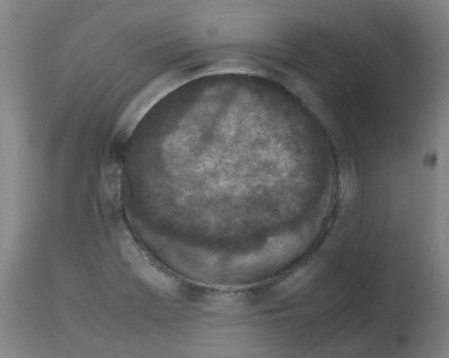 X0000113011369200910081213