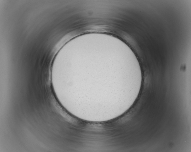 X0000113011370200910081213