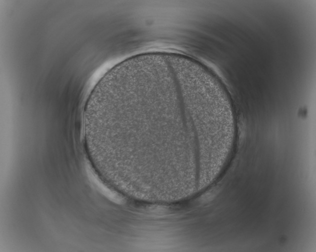 X0000113011371200910081213