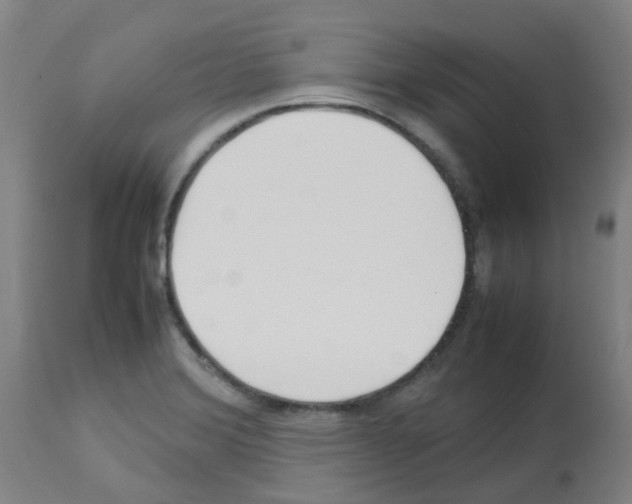 X0000113011372200910081213
