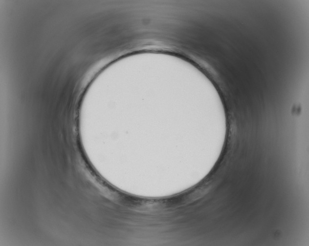 X0000113011375200910081213
