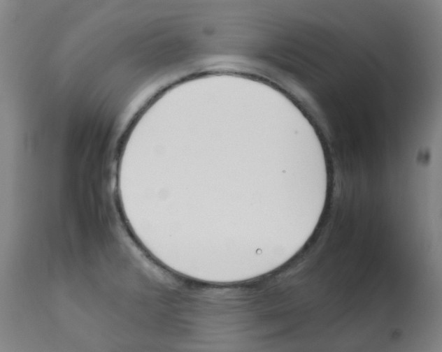 X0000113011376200910081212