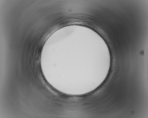 X0000113011377200910081212