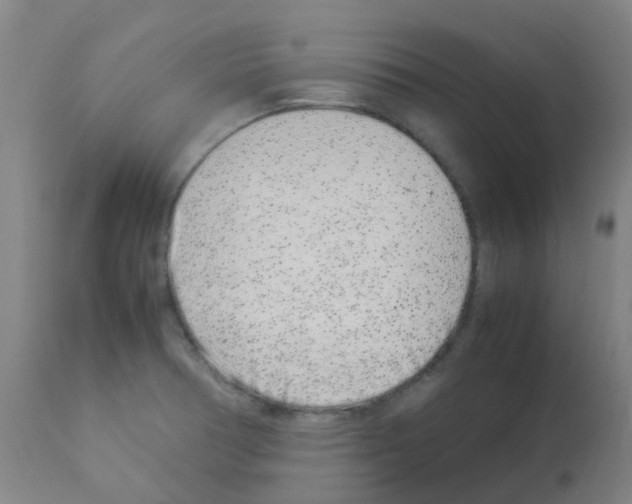 X0000113011378200910081212