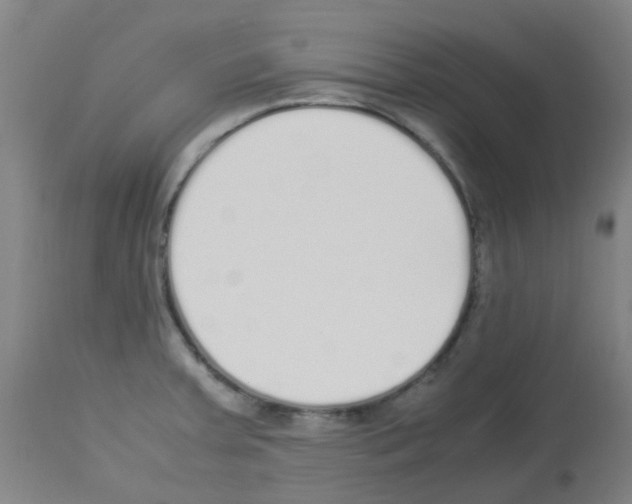 X0000113011379200910081212