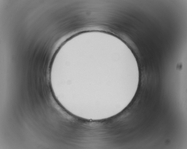 X0000113011380200910081212