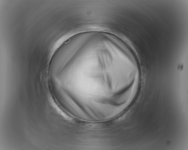 X0000113011381200910081212