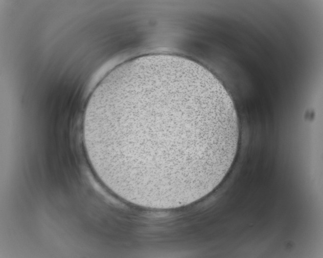 X0000113011382200910081212