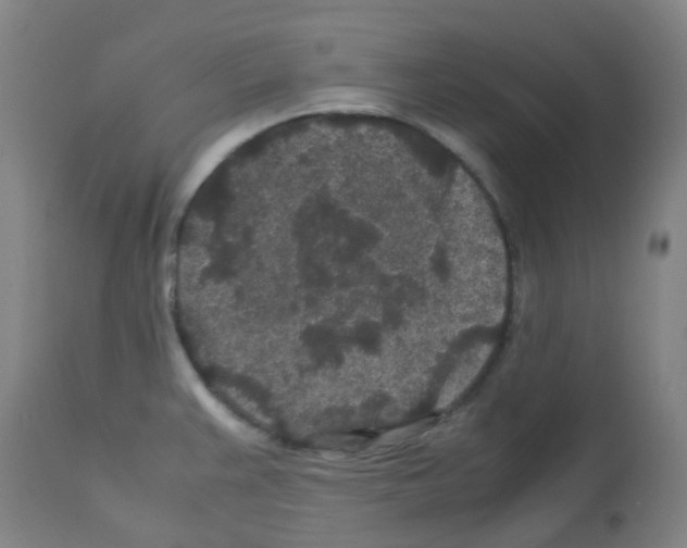 X0000113011383200910081212