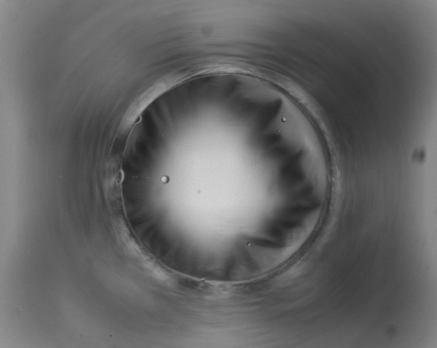 X0000113011385200910081212