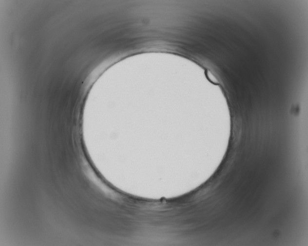 X0000113011387200910081212