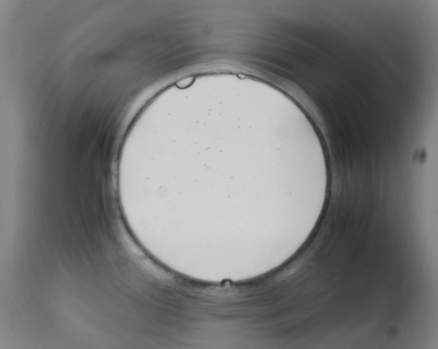 X0000113011388200910081212