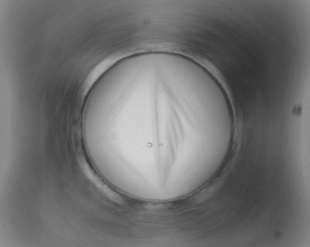 X0000113011389200910081212