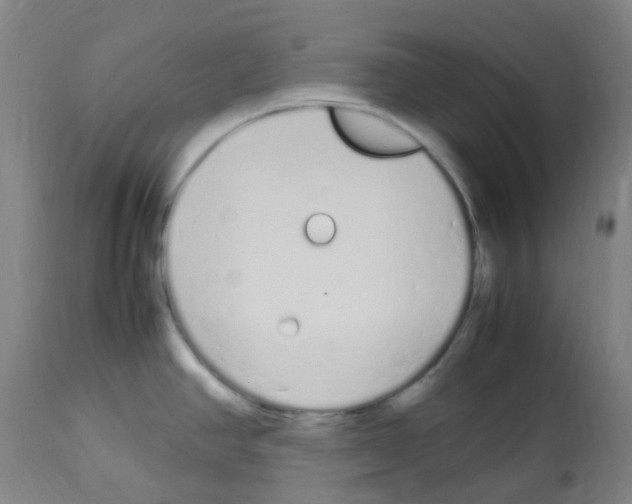 X0000113011390200910081212