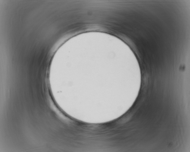 X0000113011391200910081212