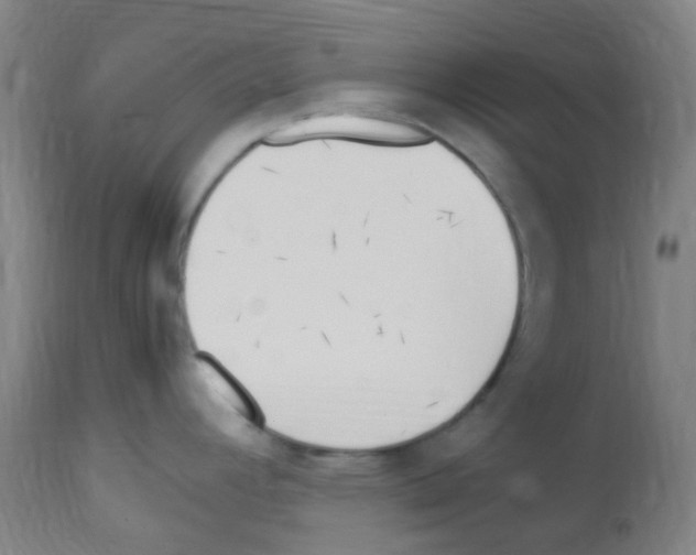 X0000113011392200910081212