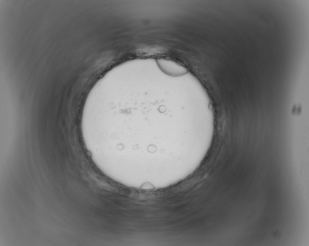 X0000113011393200910081212