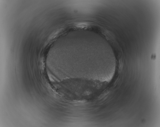 X0000113011394200910081212