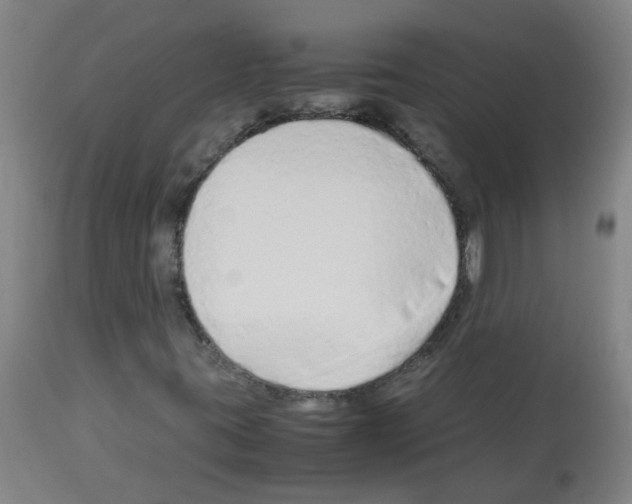 X0000113011395200910081212