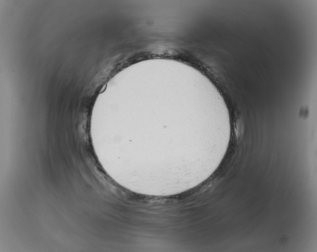 X0000113011396200910081212