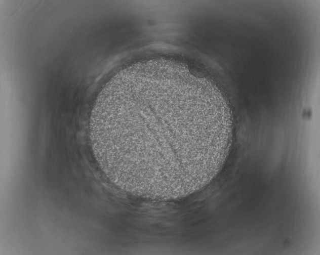 X0000113011397200910081212