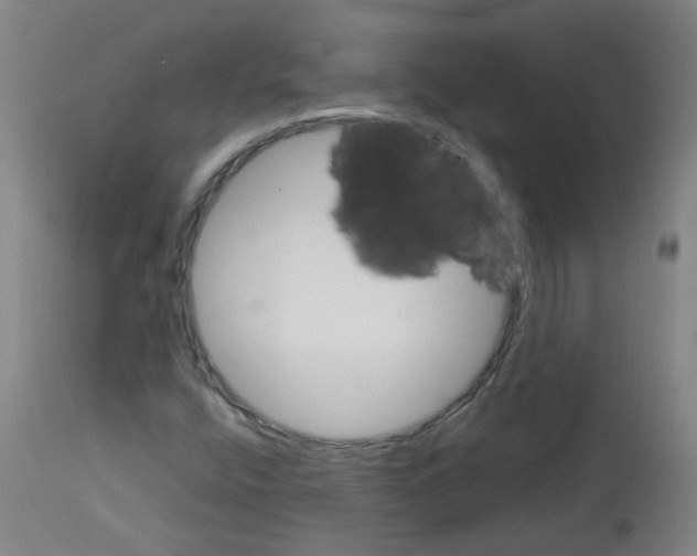 X0000113011400200910081212