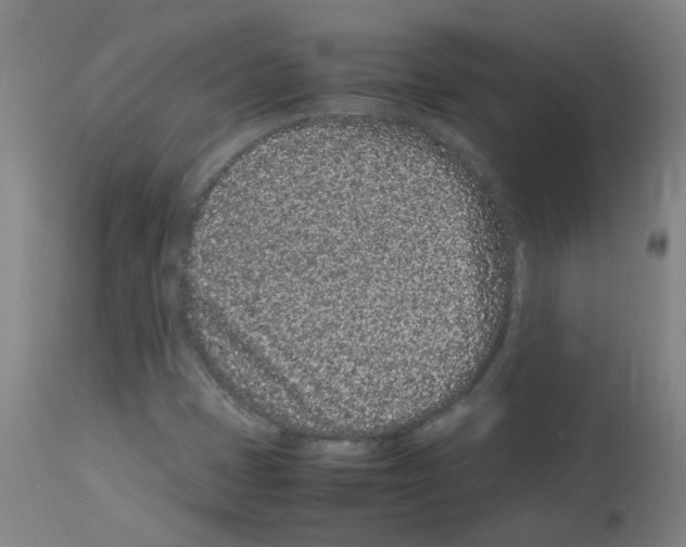 X0000113011401200910081212