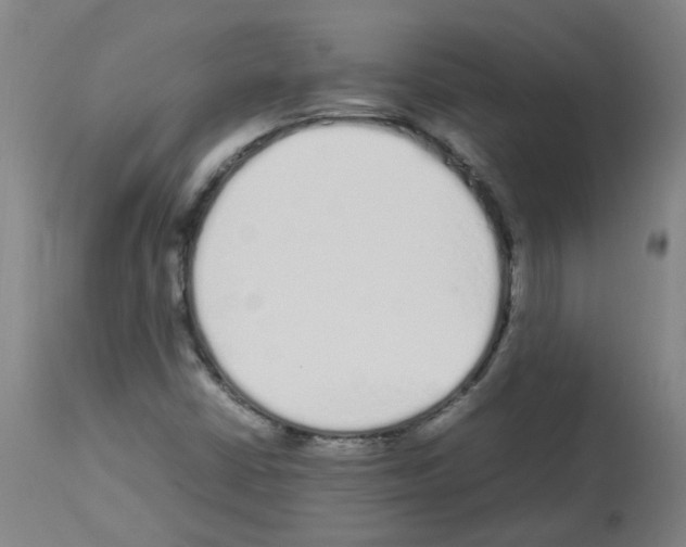 X0000113011402200910081212