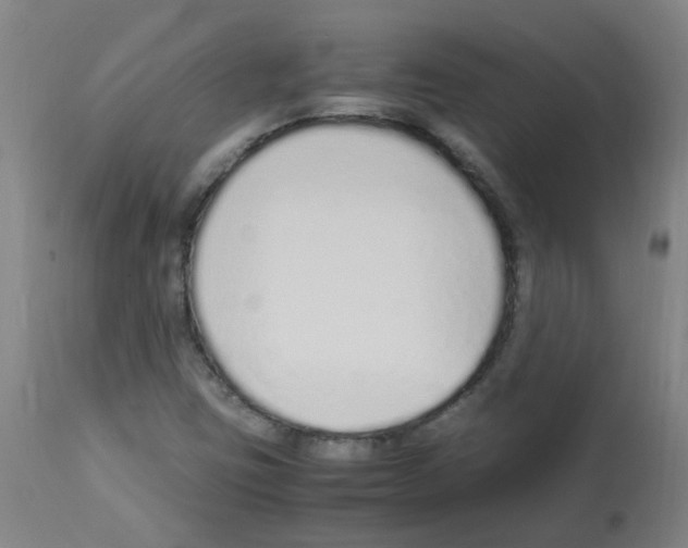 X0000113011403200910081212