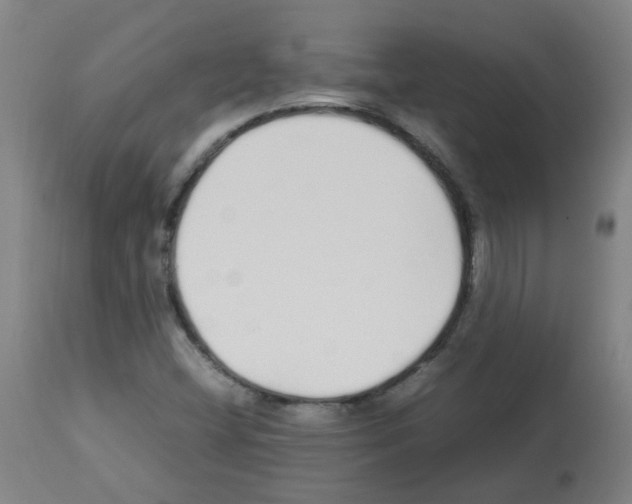 X0000113011404200910081212