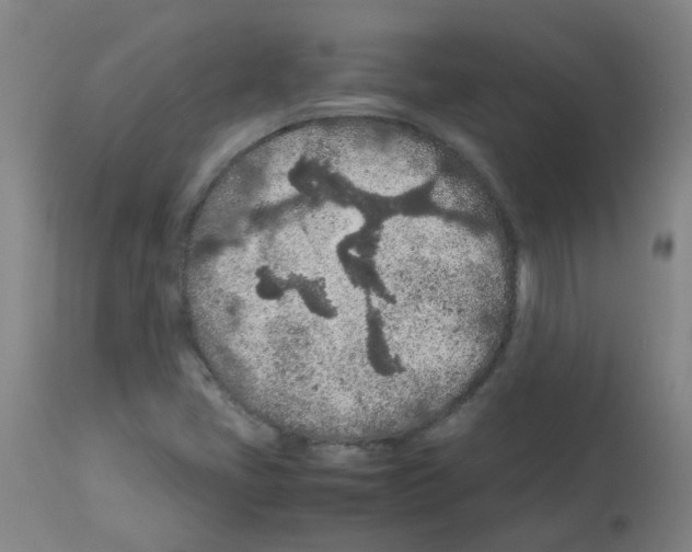X0000113011405200910081212