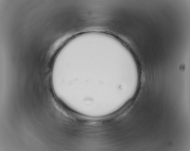 X0000113011406200910081212