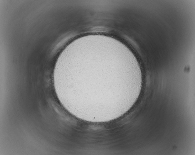 X0000113011407200910081212