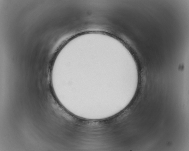 X0000113011408200910081212
